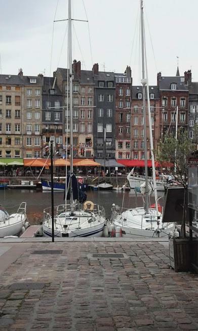 La Fleur D Honfleur Avec Son Parking Διαμέρισμα Εξωτερικό φωτογραφία